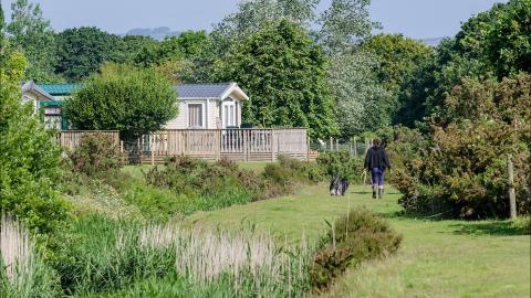 walking the dog at River Valley country park